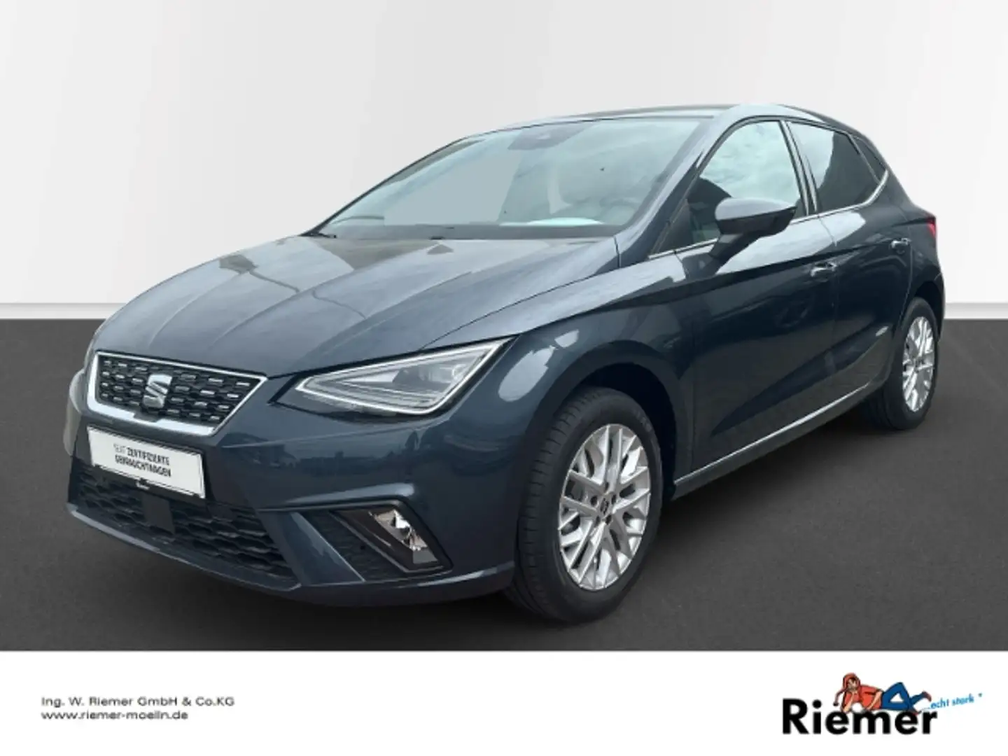 SEAT Ibiza 1.0 TSI Xcellence Cam ACC Navi LED SHZ Alarm Grau - 1