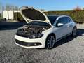Volkswagen Scirocco Scirocco 2.0 TSI DSG Edition Blanc - thumbnail 45