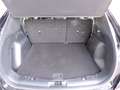 Ford Kuga 1.5 ecoboost ST-Line 2wd 150cv Noir - thumbnail 17