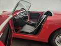 Austin-Healey Sprite MK1 Gold - thumbnail 32