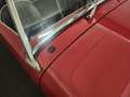 Austin-Healey Sprite MK1 Gold - thumbnail 50
