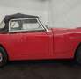 Austin-Healey Sprite MK1 Gold - thumbnail 27