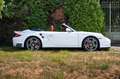 Porsche 997 .2 911 TURBO CABRIOLET / PDK / PASM / BELGIAN CAR Wit - thumbnail 16