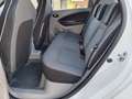 Renault ZOE Zoe Q210 22kWh Intens inkl. Akku *Keyless*KLIMA... Weiß - thumbnail 10