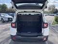 Jeep Renegade 1.0 T3 120cv Night Eagle Bianco - thumbnail 11