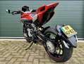 MV Agusta Rivale 800 - thumbnail 3