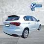 Fiat Tipo Tipo 1.3 Mjt S&S 5 porte Pop Bianco - thumbnail 7
