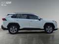 Toyota RAV 4 RAV4 2.5 Business Edition *Carplay*Navi* Weiß - thumbnail 7