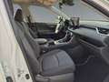 Toyota RAV 4 RAV4 2.5 Business Edition *Carplay*Navi* Weiß - thumbnail 16