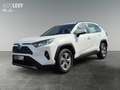 Toyota RAV 4 RAV4 2.5 Business Edition *Carplay*Navi* Weiß - thumbnail 2