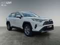 Toyota RAV 4 RAV4 2.5 Business Edition *Carplay*Navi* Weiß - thumbnail 8