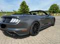 Ford Mustang Convertible 5.0 Ti-VCT V8 GT Grau - thumbnail 3