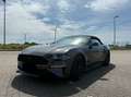 Ford Mustang Convertible 5.0 Ti-VCT V8 GT Grau - thumbnail 1