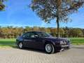 BMW 525 525i 24V Executive Paars - thumbnail 5