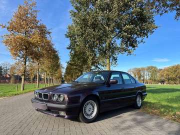 525i 24V Executive