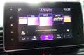Renault Trafic 2,0 DCI Combi L1H1 Life LED/NAVI/TEMP/PDC Violet - thumbnail 14