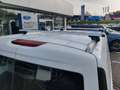 Ford Transit Connect Kasten lang Trend Sortimo Weiß - thumbnail 11