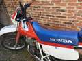 Honda XR 600 R dall'ara Rojo - thumbnail 3