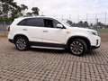 Kia Sorento Sorento Diesel 2.2 CRDi AWD Aut. Platinum Edition Blanco - thumbnail 8