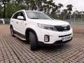 Kia Sorento Sorento Diesel 2.2 CRDi AWD Aut. Platinum Edition Blanco - thumbnail 1