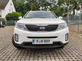 Kia Sorento Sorento Diesel 2.2 CRDi AWD Aut. Platinum Edition Blanco - thumbnail 3