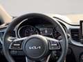Kia Ceed / cee'd ceed 1,0 T-GDI GPF Silber *Style Paket* *VFW* Weiß - thumbnail 12