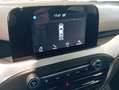 Ford Focus 1.5 EcoBlue 95 CV 5p. Plus Argento - thumbnail 14