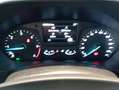 Ford Focus 1.5 EcoBlue 95 CV 5p. Plus Argento - thumbnail 11