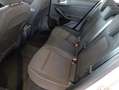 Ford Focus 1.5 EcoBlue 95 CV 5p. Plus Argento - thumbnail 9