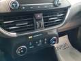 Ford Focus 1.5 EcoBlue 95 CV 5p. Plus Argento - thumbnail 15