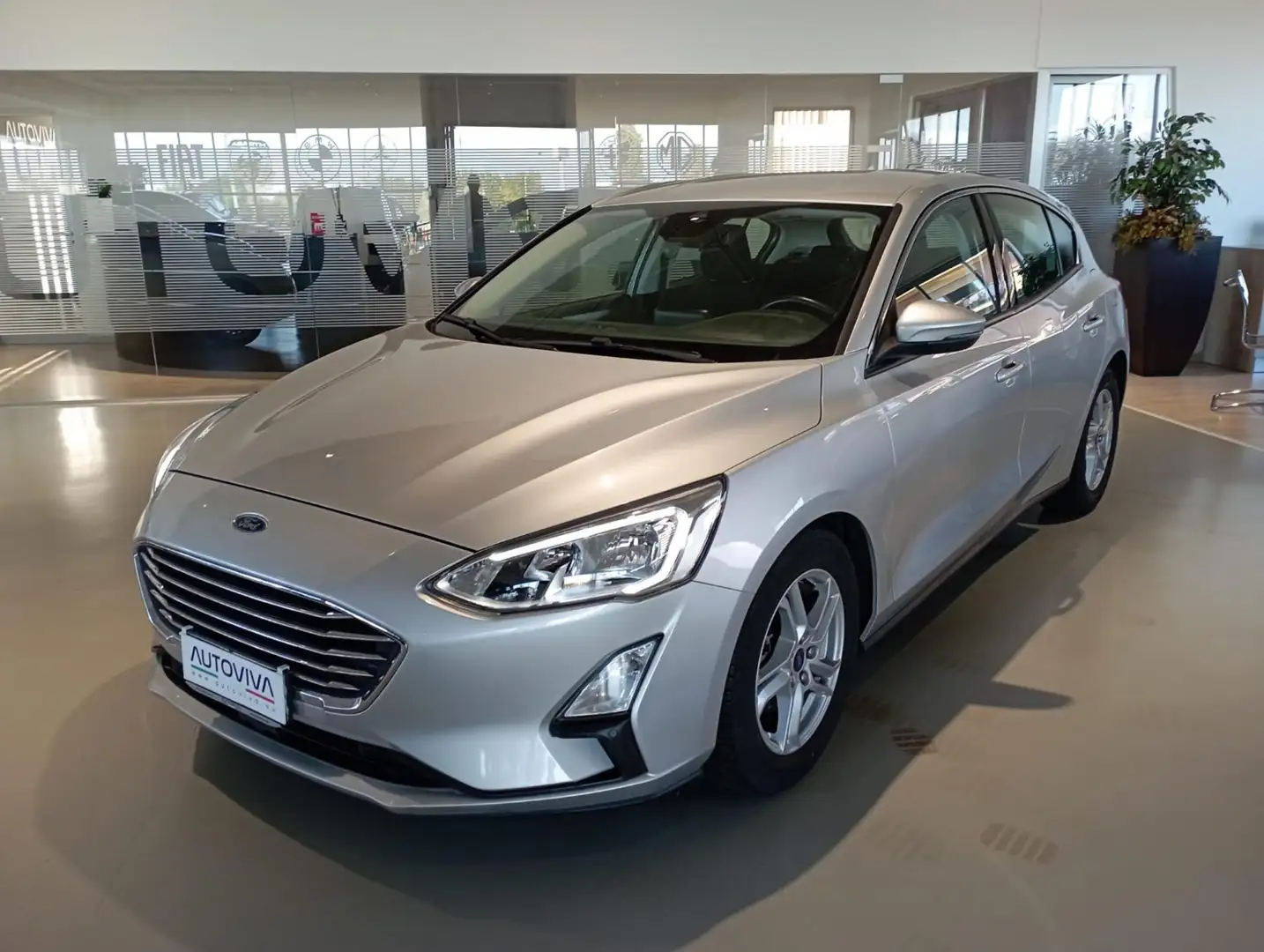 Ford Focus 1.5 EcoBlue 95 CV 5p. Plus Argento - 1