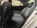 Kia Picanto 1.0 CVVT EconomyLine Weiß - thumbnail 15