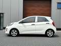 Kia Picanto 1.0 CVVT EconomyLine Weiß - thumbnail 10