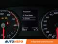 SEAT Ibiza 1.0 TSI XCellence Gris - thumbnail 26
