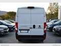 Fiat Ducato 35 2.2Mjt 140 PM-TM Furgone Bianco - thumbnail 5