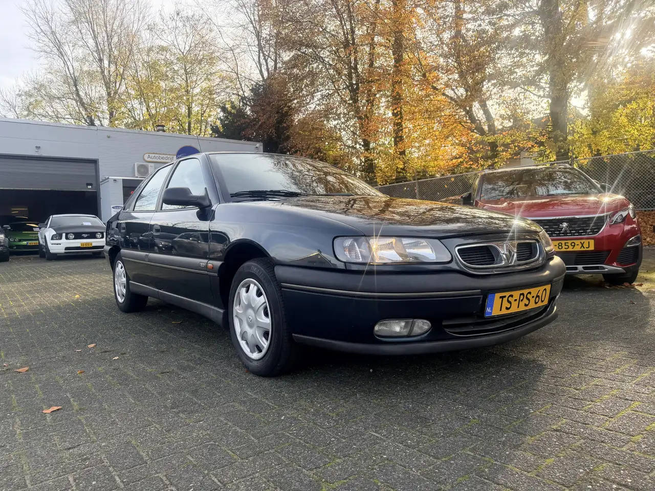 Renault Safrane 2.0 RXE, foto 10