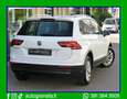 Volkswagen Tiguan 1.6 Tdi 115cv Business Navi.+Retroc. Bianco - thumbnail 3