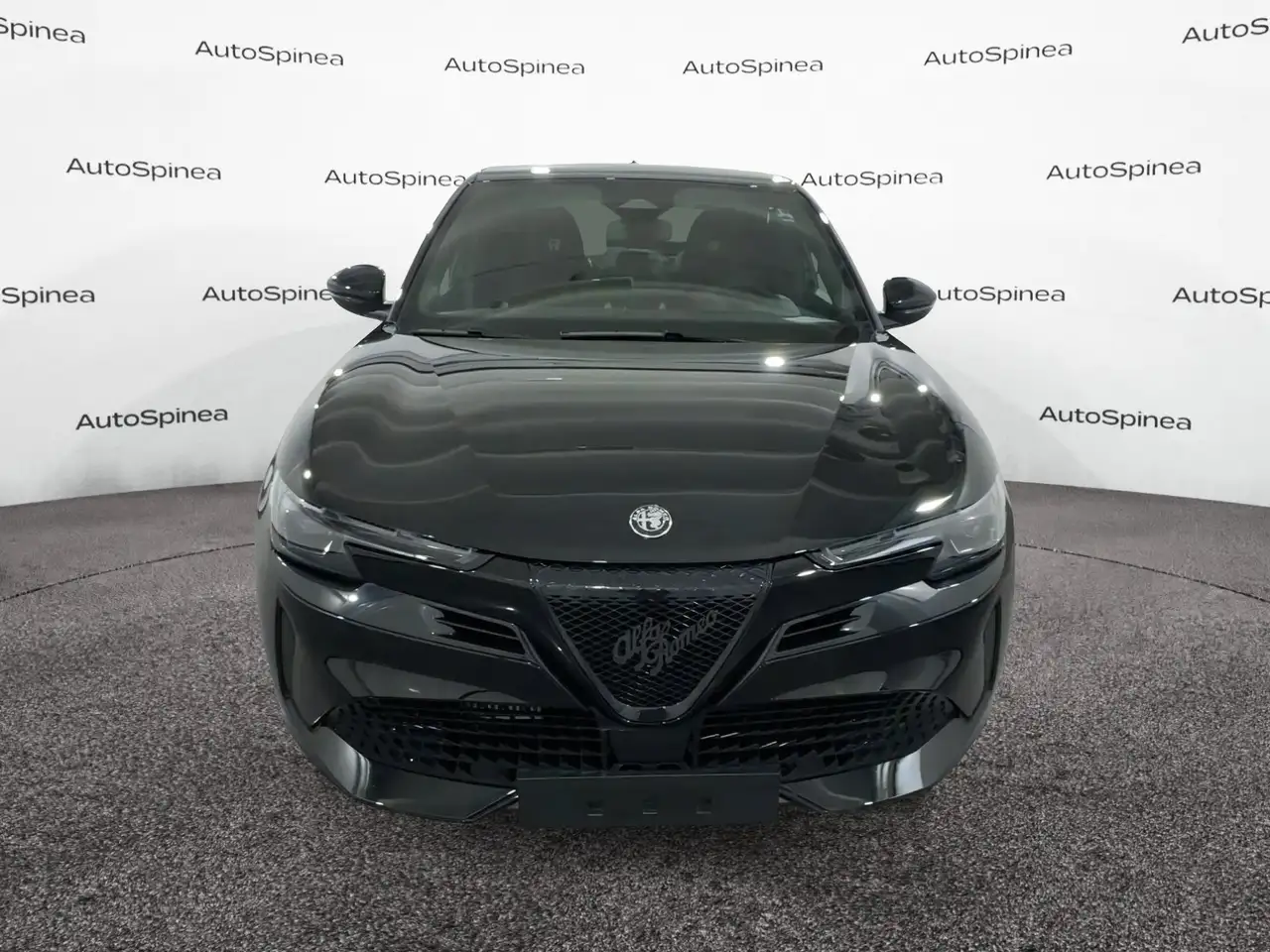 Alfa Romeo Junior 2026