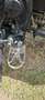 Royal Enfield Himalayan 411 Grijs - thumbnail 9