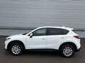 Mazda CX-5 CD150 AWD Attraction ID:53 Weiß - thumbnail 4