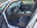 Ford S-Max Titanium, 7 Sitzer, HU + Inspektion neu Biały - thumbnail 10