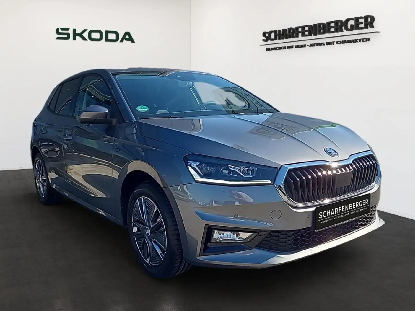 Skoda Fabia Fabia Tour 1,0TSI 70kW 5-Gang-Schalt. *SHZ;ACC* Grau - 2