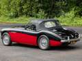 Austin-Healey 100 M Negro - thumbnail 5
