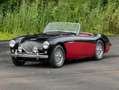 Austin-Healey 100 M Negro - thumbnail 12