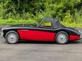 Austin-Healey 100 M Negro - thumbnail 4