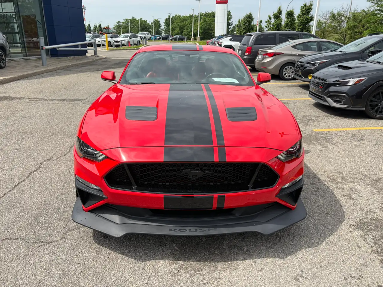 Ford Mustang photo Ford Mustang