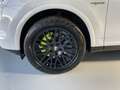 Porsche Cayenne S E-Hybrid Platinum Edition Blanco - thumbnail 15