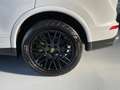 Porsche Cayenne S E-Hybrid Platinum Edition Blanco - thumbnail 14
