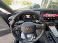 CUPRA Formentor Formentor 2020 2.0 tsi 4drive 190cv dsg Bleu - thumbnail 9