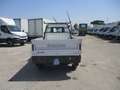 Piaggio Quargo DIESEL CASSONE FISSO 103000 KM Bianco - thumbnail 6